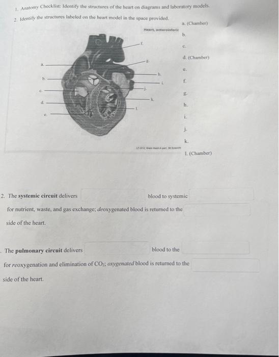 Solved 1. Anatomy Checklist: Identify the structures of the | Chegg.com