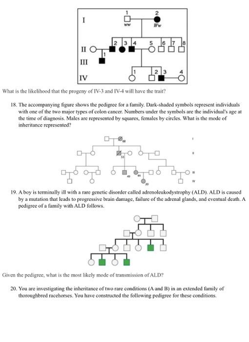 Solved 17 The Following Question Refer To The Pedigree Chegg