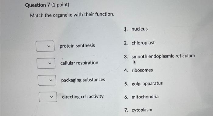 Solved Match the organelle with their function. 1. nucleus | Chegg.com