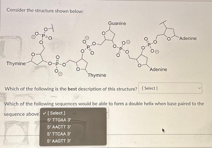 Solved Consider The Structure Shown Below: Which Of The | Chegg.com