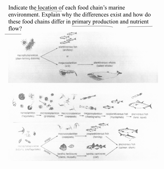 Solved Indicate the location of each food chain
