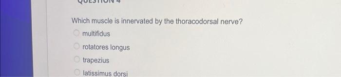 Which muscle is innervated by the thoracodorsal nerve?
multifidus
rotatores longus
trapezius
latissimus dorsi