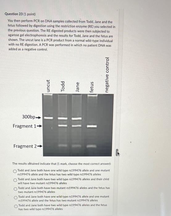 Solved Using The Information From The Agarose Gel As Well As | Chegg.com