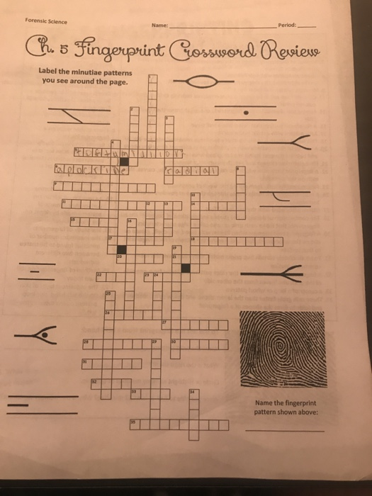 Solved Across Clues Dowen Gues 1 Fingerprints Are This Type Chegg