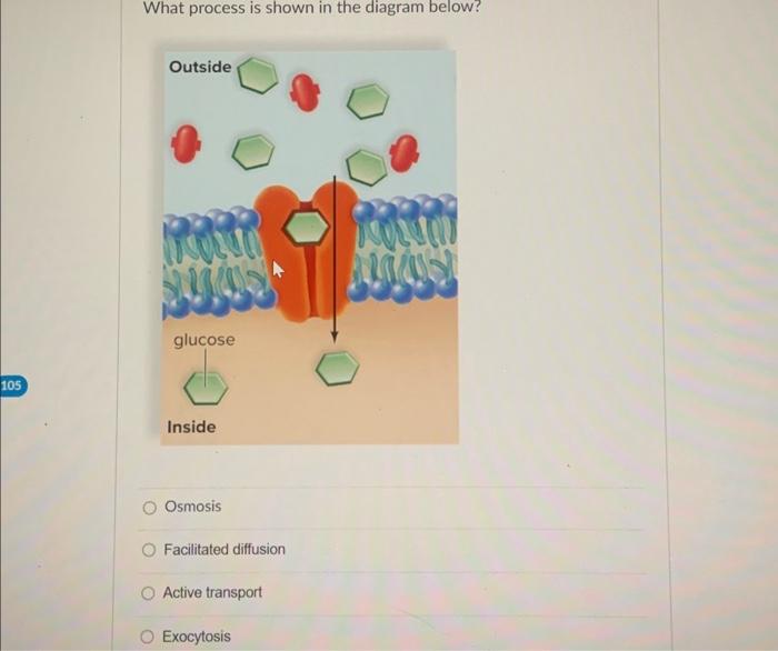 What process is shown in the diagram below? Osmosis | Chegg.com