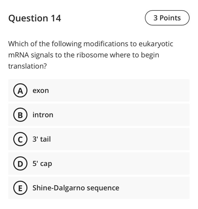 Solved Which of the following modifications to eukaryotic | Chegg.com