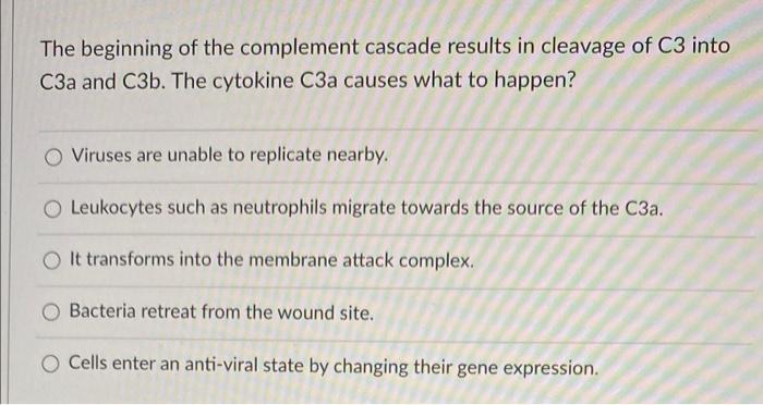 Solved The beginning of the complement cascade results in | Chegg.com