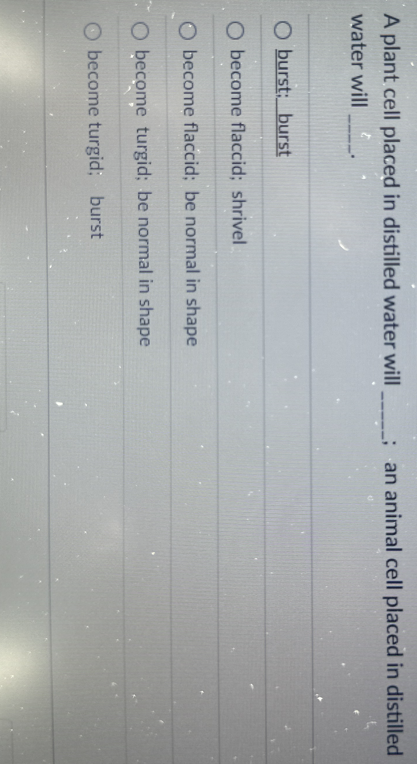 [Solved] A plant cell placed in distilled water will ; an a