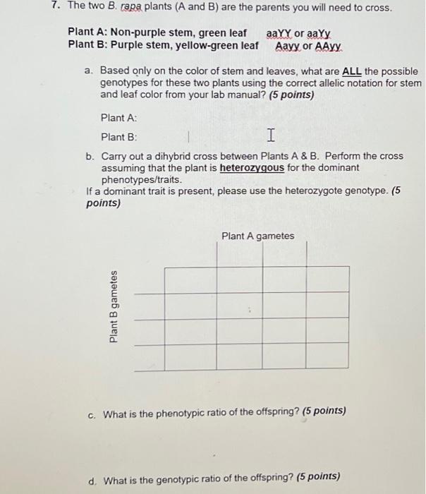 Solved Plant A: Non-purple Stem, Green Leaf AaYY Or AaYy | Chegg.com