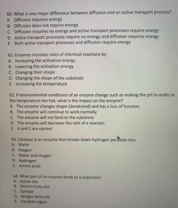 Solved 55. In an experiment if the negative control yields a | Chegg.com