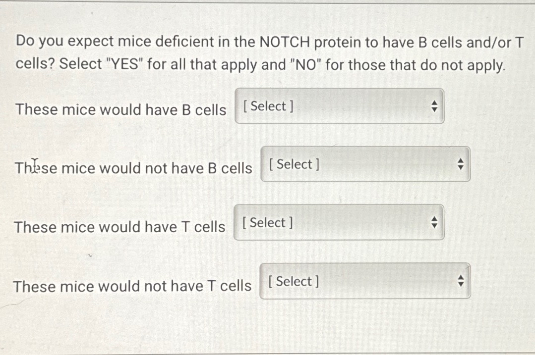 Solved Do you expect mice deficient in the NOTCH protein to | Chegg.com