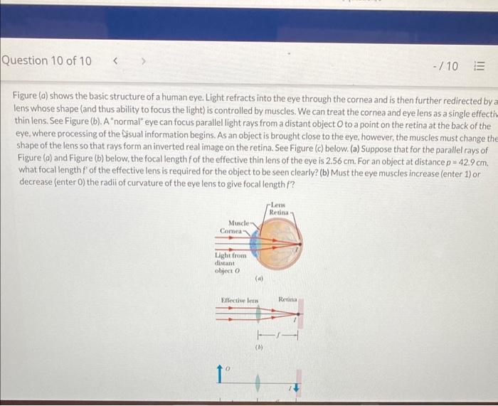 Figure (a) shows the basic structure of a human eye. Light refracts into the eye through the cornea and is then further redir