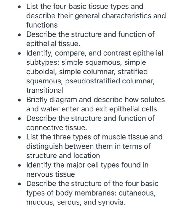 human body tissues and their functions