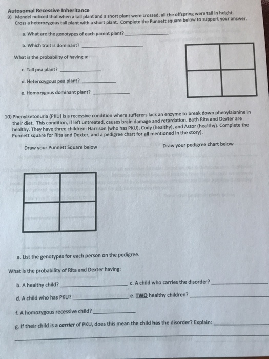 Solved Name Date: Period: Genetics Unit Review Worksheet | Chegg.com