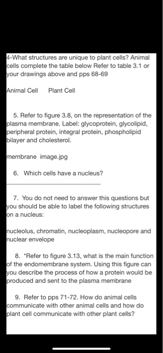 Solved 4-What structures are unique to plant cells? Animal 