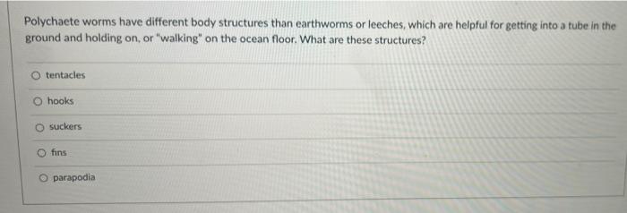 Solved Polychaete worms have different body structures than | Chegg.com