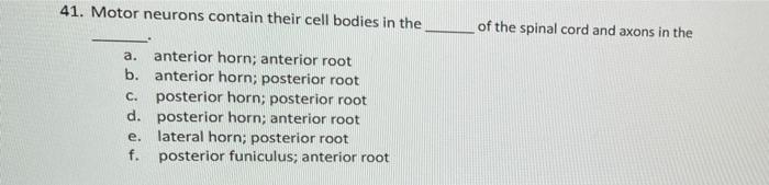 Solved 41. Motor neurons contain their cell bodies in the b. | Chegg.com