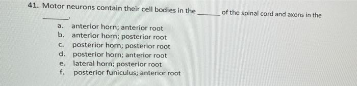 41. Motor neurons contain their cell bodies in the b. a. anterior horn; anterior root anterior horn; posterior root c. poster