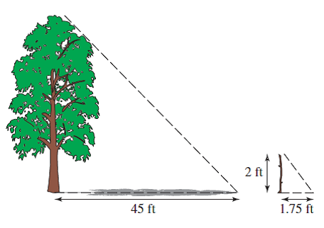 Solved: Solve each problem. Height of a Tree A certain tree c ...