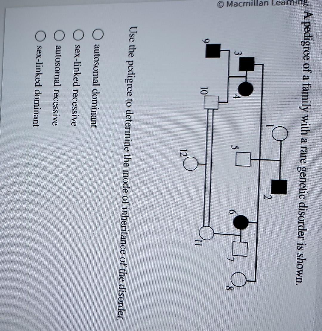 Solved A pedigree of a family with a rare genetic disorder | Chegg.com