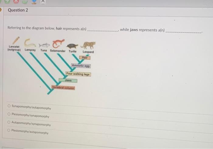 Solved Question 2 Referring to the diagram below, hair | Chegg.com