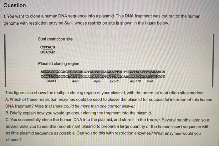 Solved Question 1. You Want To Clone A Human DNA Sequence | Chegg.com