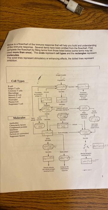 Below is a flowchart of the imrnune response that wai | Chegg.com
