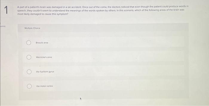 1 A part of a patient's brain was damaged in a ski | Chegg.com