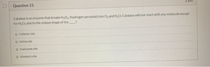 Solved Question 22 Which Of The Following Statements | Chegg.com Solved Question 22 Which Of The Following Statements | Chegg.com