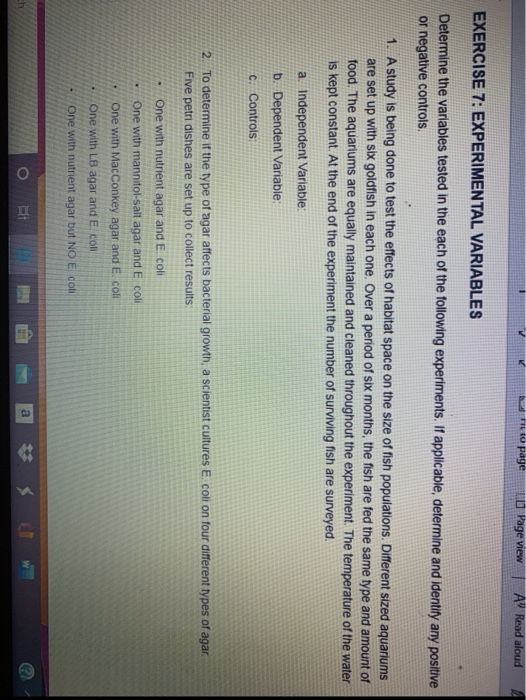 exercise 7 experimental variables