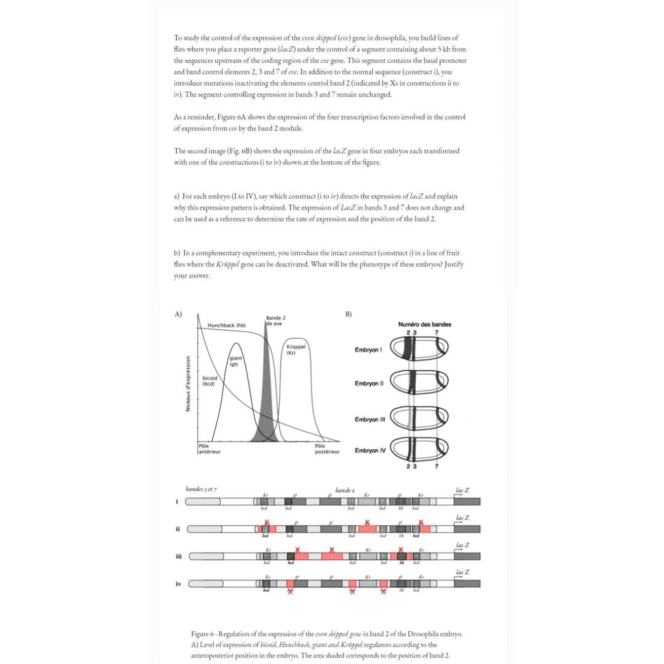 Solved Help | Chegg.com