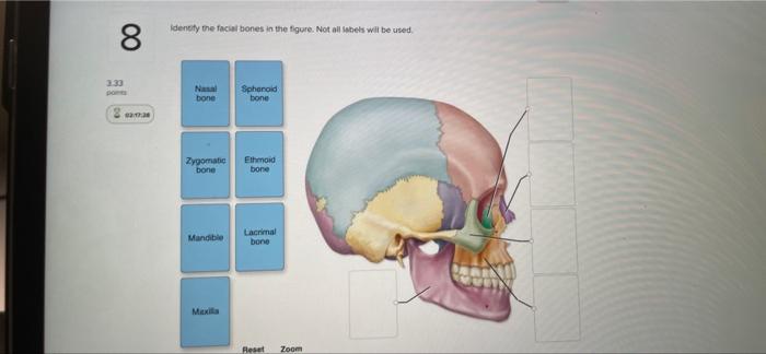 Solved 4 3.33 CHAU WAH Label the structures of the bone | Chegg.com