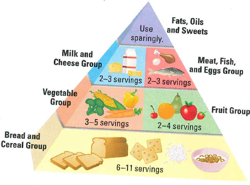 Solved: Use the food pyramid. It gives guidelines on how many s ...