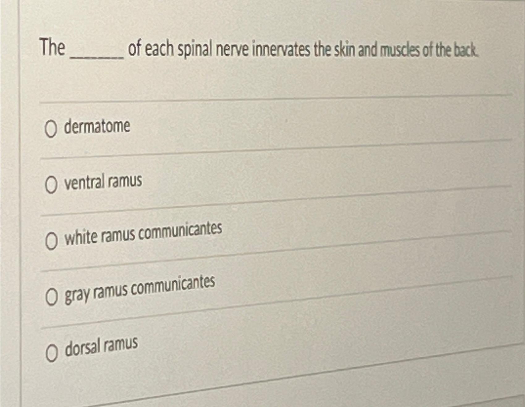 Solved The Of Each Spinal Nerve Innervates The Skin And | Chegg.com