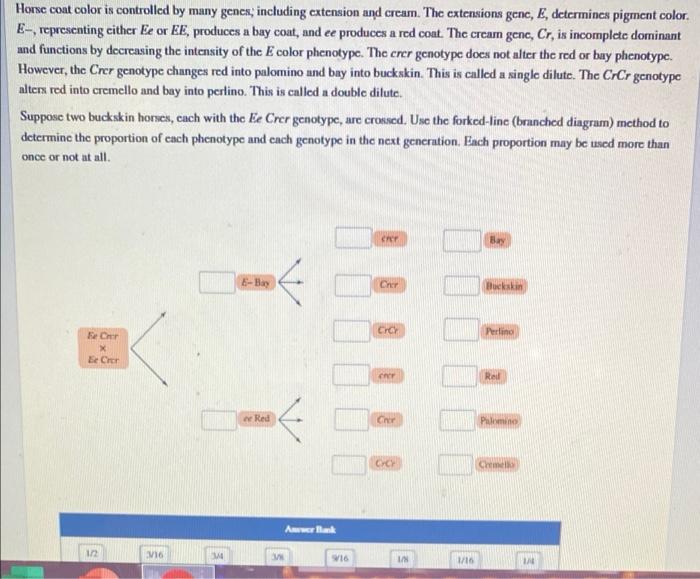 Horse coat color is controlled by many genes,