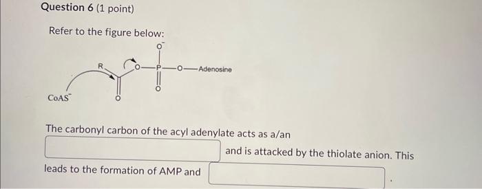 Refer to the figure below:
The carbonyl carbon of the acvl adenvlate acts as a/an and is attacked by the thiolate anion. This