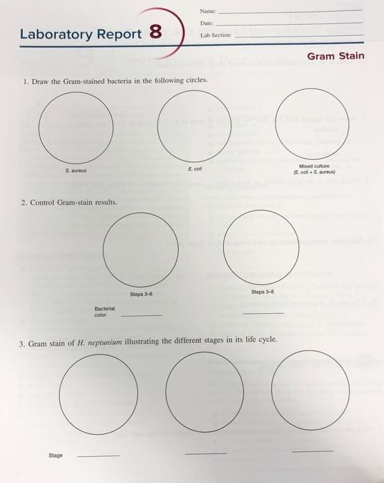 Laboratory Report 7 Lab Section Smear Preparation and