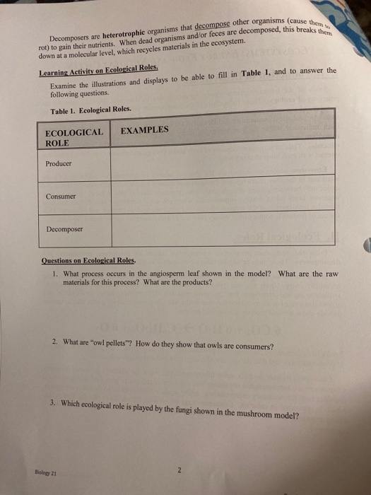 Solved Decomposers are heterotrophic organisms that | Chegg.com