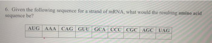 Solved 6. Given the following sequence for a strand of mRNA, | Chegg.com