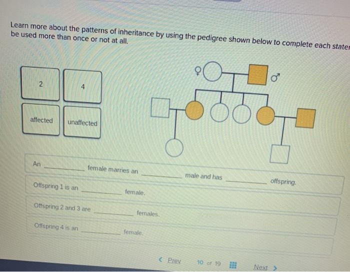 Solved Learn more about the patterns of inheritance by using | Chegg.com