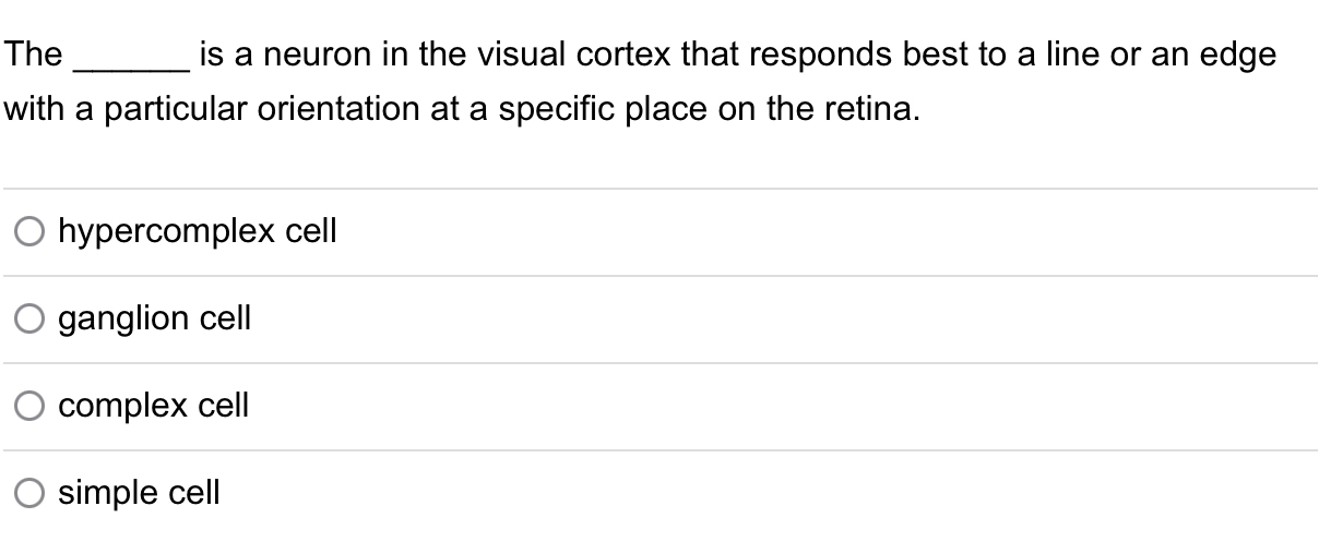 Solved The is a neuron in the visual cortex that responds | Chegg.com