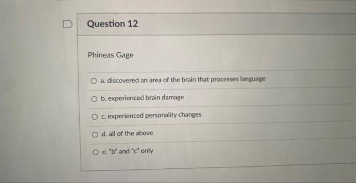 Solved Phineas Gage a. discovered an area of the brain that | Chegg.com