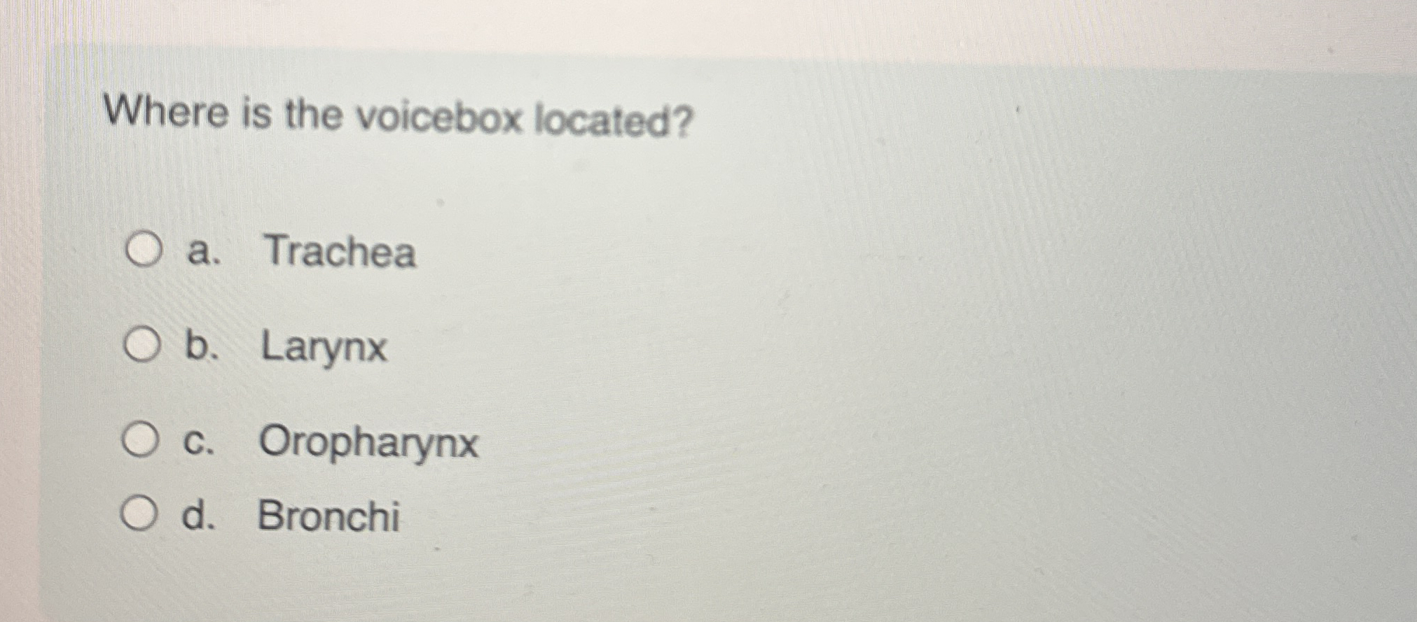 Solved Where is the voicebox located?a. ﻿Tracheab. ﻿Larynxc. | Chegg.com