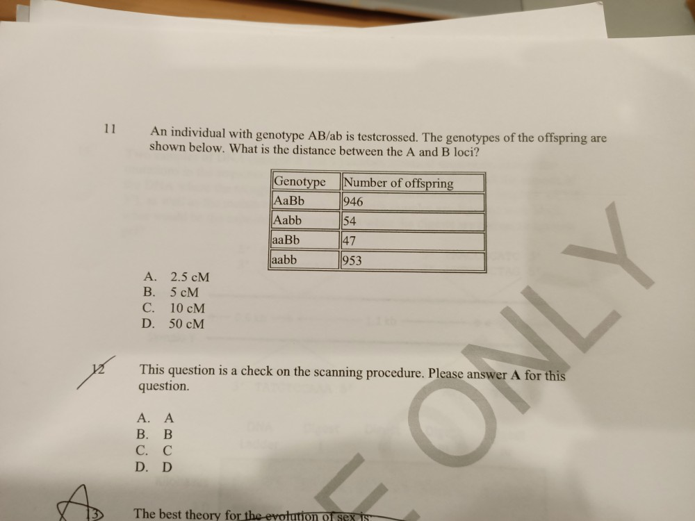 Solved 11 An Individual With Genotype AB/ab Is Testcrossed. | Chegg.com