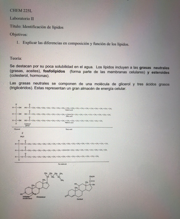 esteroides antiinflamatorios Explicación 101