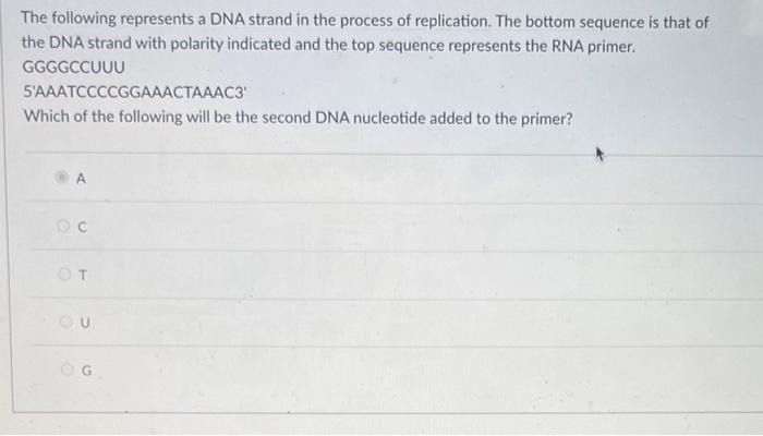 Solved The following represents a DNA strand in the process | Chegg.com