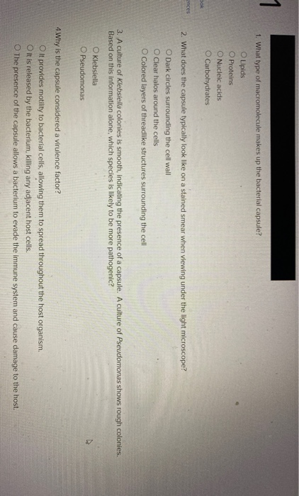 Solved 1 What Type Of Macromolecule Makes Up The Bacterial Chegg