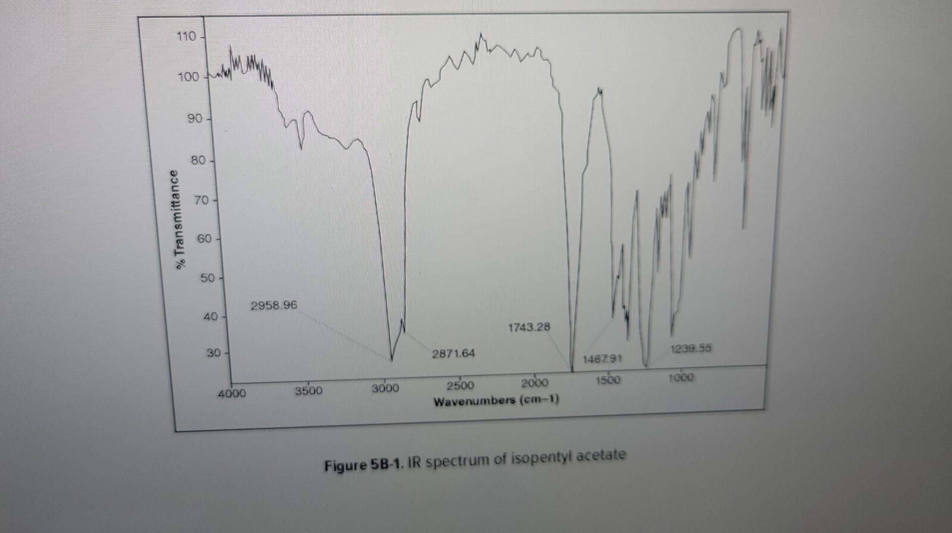 Solved Figure 5b 1 Ir Spectrum Of Isopentyl Acetate Figure