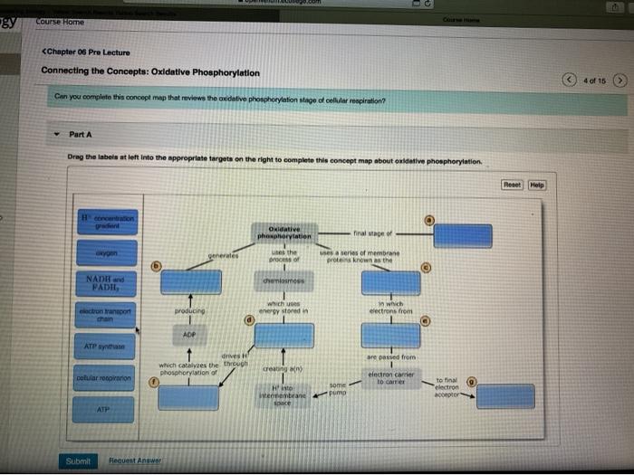 mastering biology oxidative phosphorylation concept map