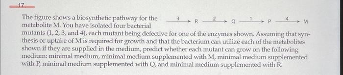 Solved The figure shows a biosynthetic pathway for the | Chegg.com